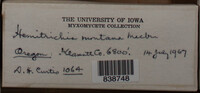 Image Associated With the Occurence